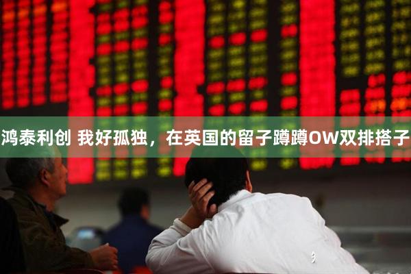 鸿泰利创 我好孤独，在英国的留子蹲蹲OW双排搭子