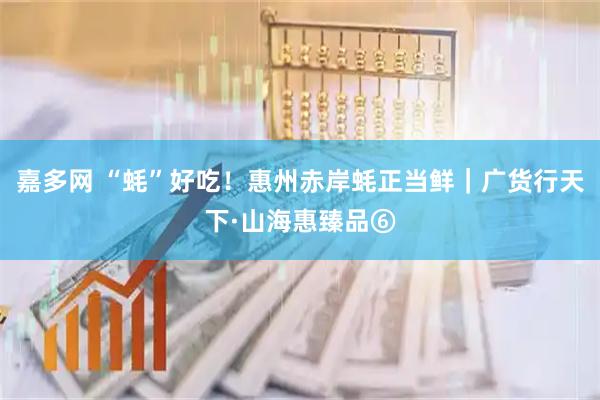 嘉多网 “蚝”好吃！惠州赤岸蚝正当鲜｜广货行天下·山海惠臻品⑥